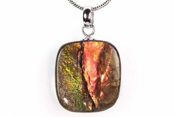 Brilliant Ammolite Pendant (Necklace) - Alberta, Canada #290128